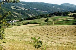 Vendita di beni immobili della Regione Emilia-Romagna